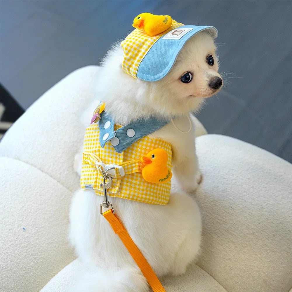 Cute Pet Outfit Set β 3-in-1 Harness, Leash & Cap