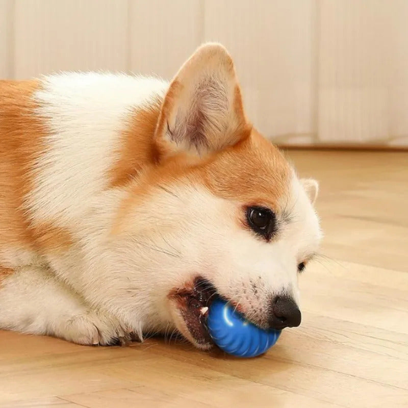 Interractive Motion Activated Rolling Ball Dog Toy