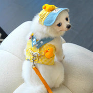 Cute Pet Outfit Set – 3-in-1 Harness, Leash & Cap
