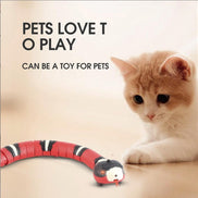 USB Charging Accessory For Pet Dogs