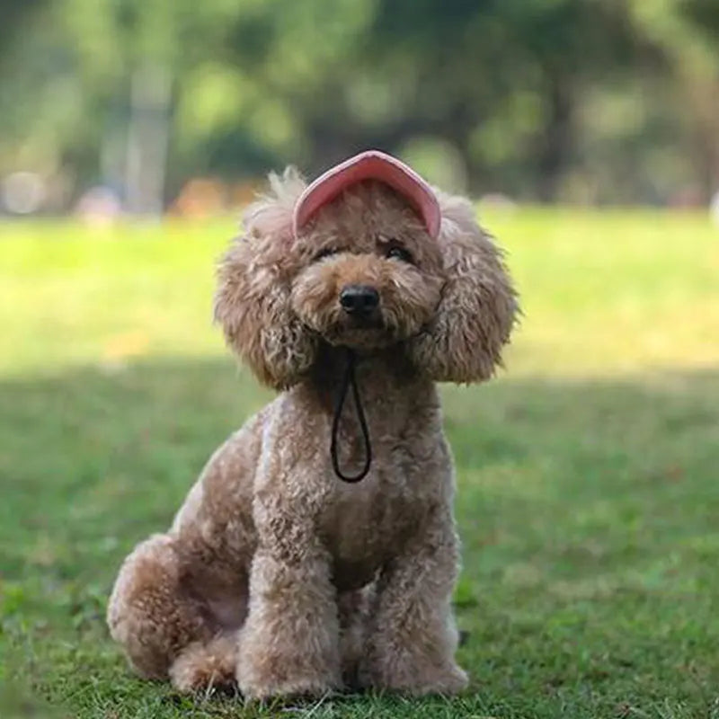 Pets Hat