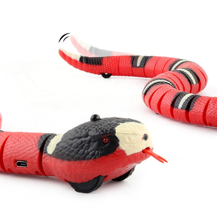 USB Charging Accessory For Pet Dogs
