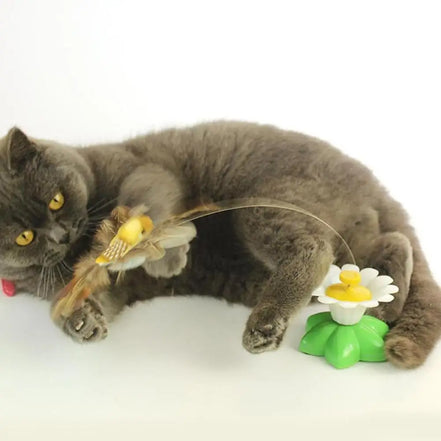 Interactive Cat Toy Automatic Rotating Flying Butterfly