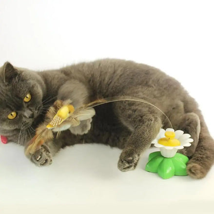 Interactive Cat Toy Automatic Rotating Flying Butterfly