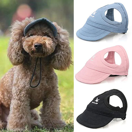 Pets Hat